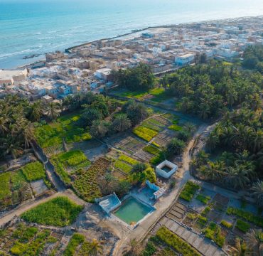 dji_fly_٢٠٢٤١٠١٨_١٥٤١٥٤_466_1729255523743_photo (1)